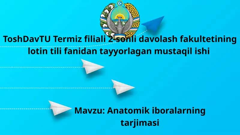 Anatomik iboralarning tarjimasi