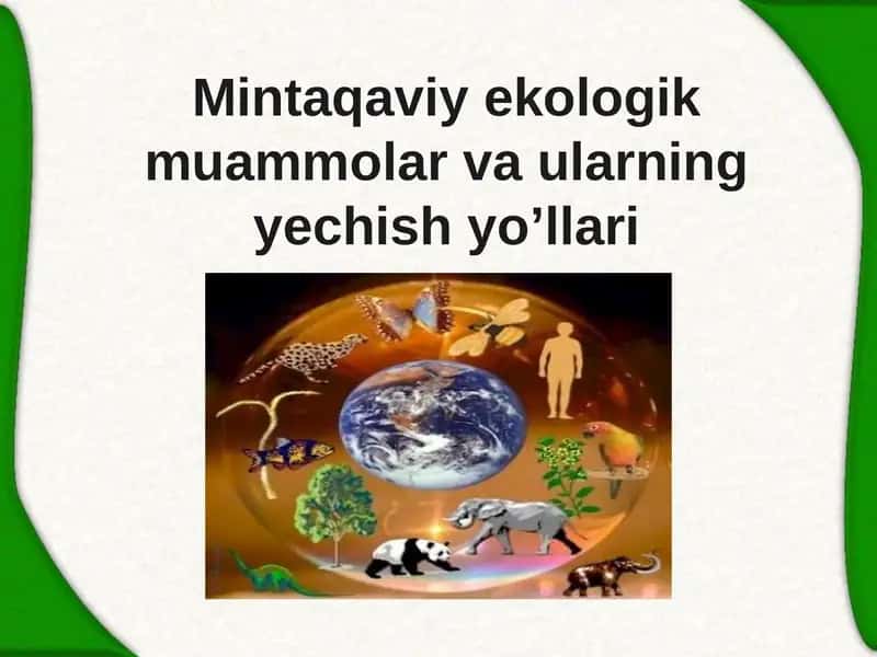 Mintaqaviy ekologik muammolar va ularningyechish yo’llari