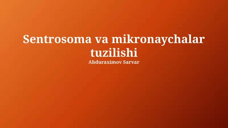 Sentrosoma va Mikronaychalar Tuzilishi