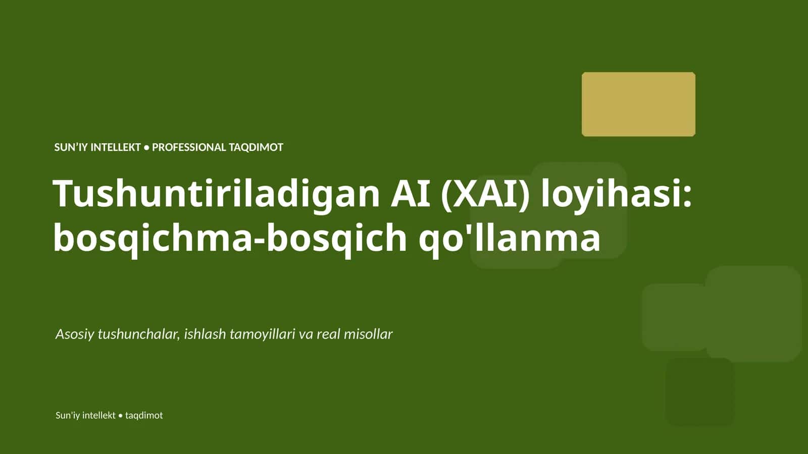 Tushuntiriladigan AI (XAI) loyihasi: bosqichma-bosqich qo'llanma