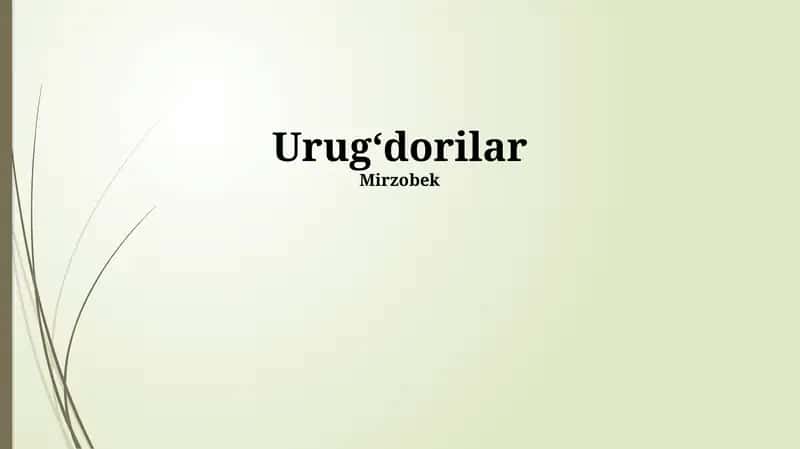 Urugʻdorilar
