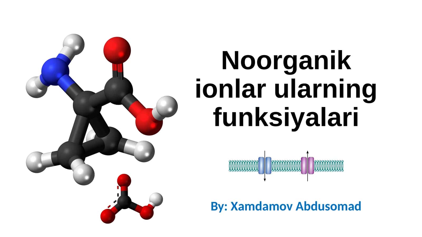 Noorganik ionlar