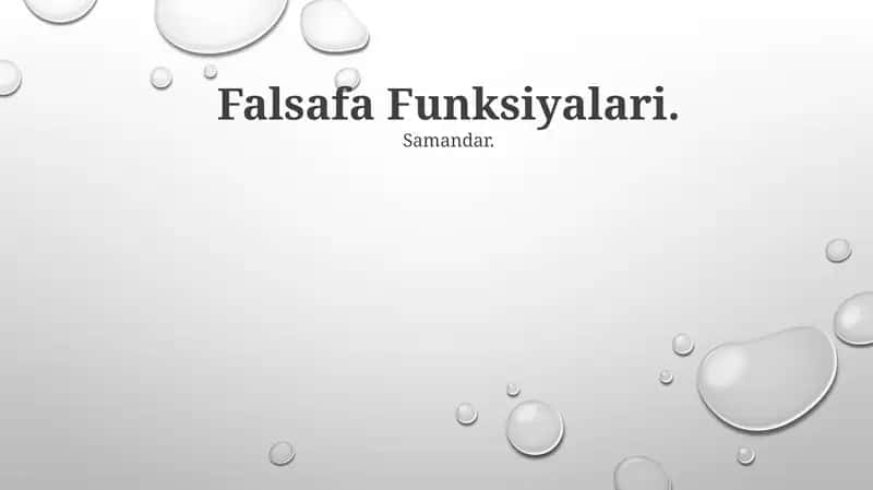 Falsafa Funksiyalari