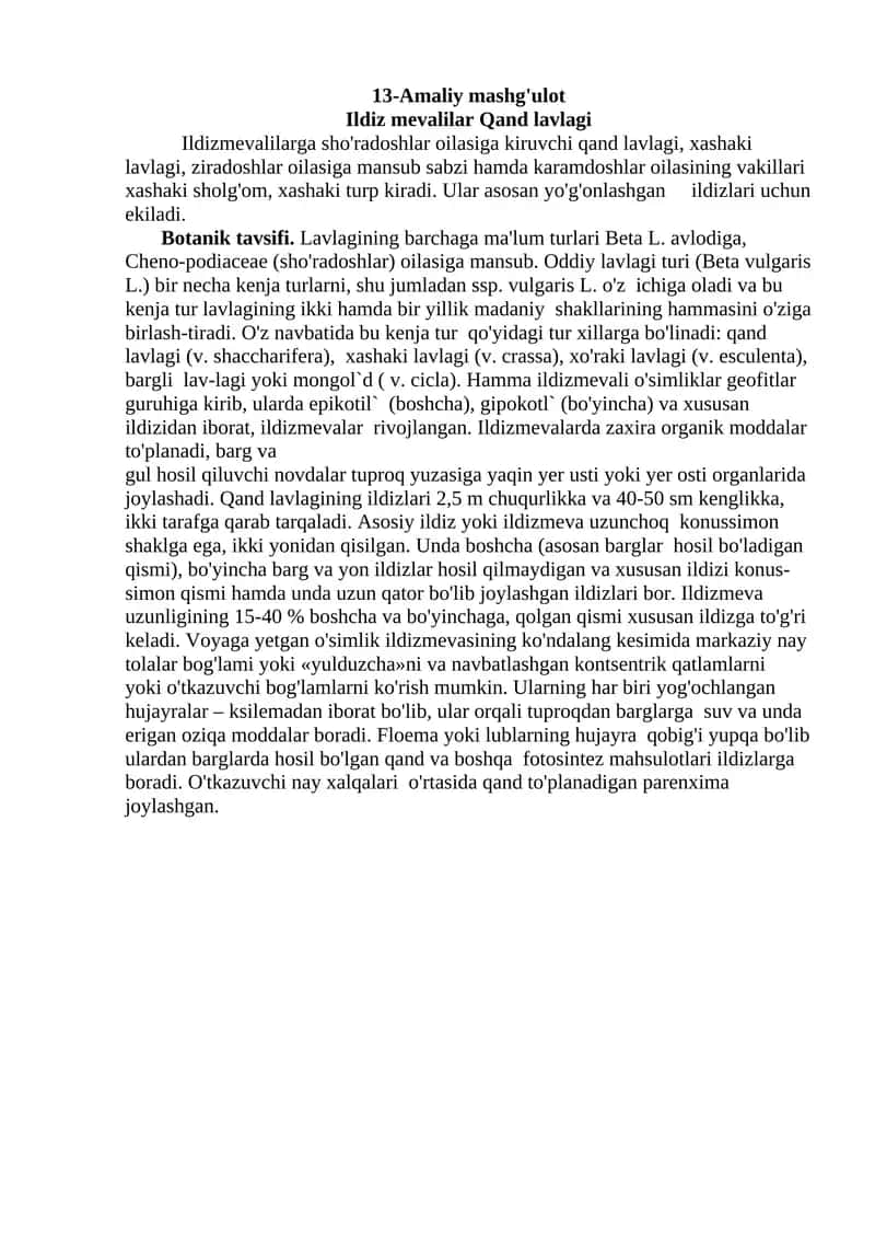 Ildiz mevalilar Qand lavlagi