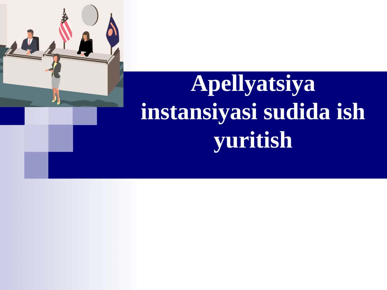 Apellyatsiya instansiyasi sudida ish yuritish