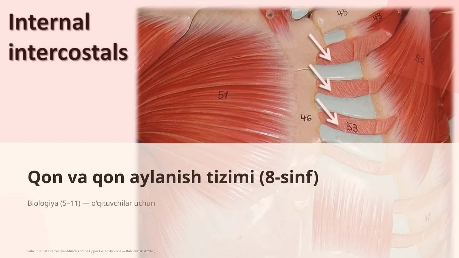Qon va qon aylanish tizimi (8-sinf)