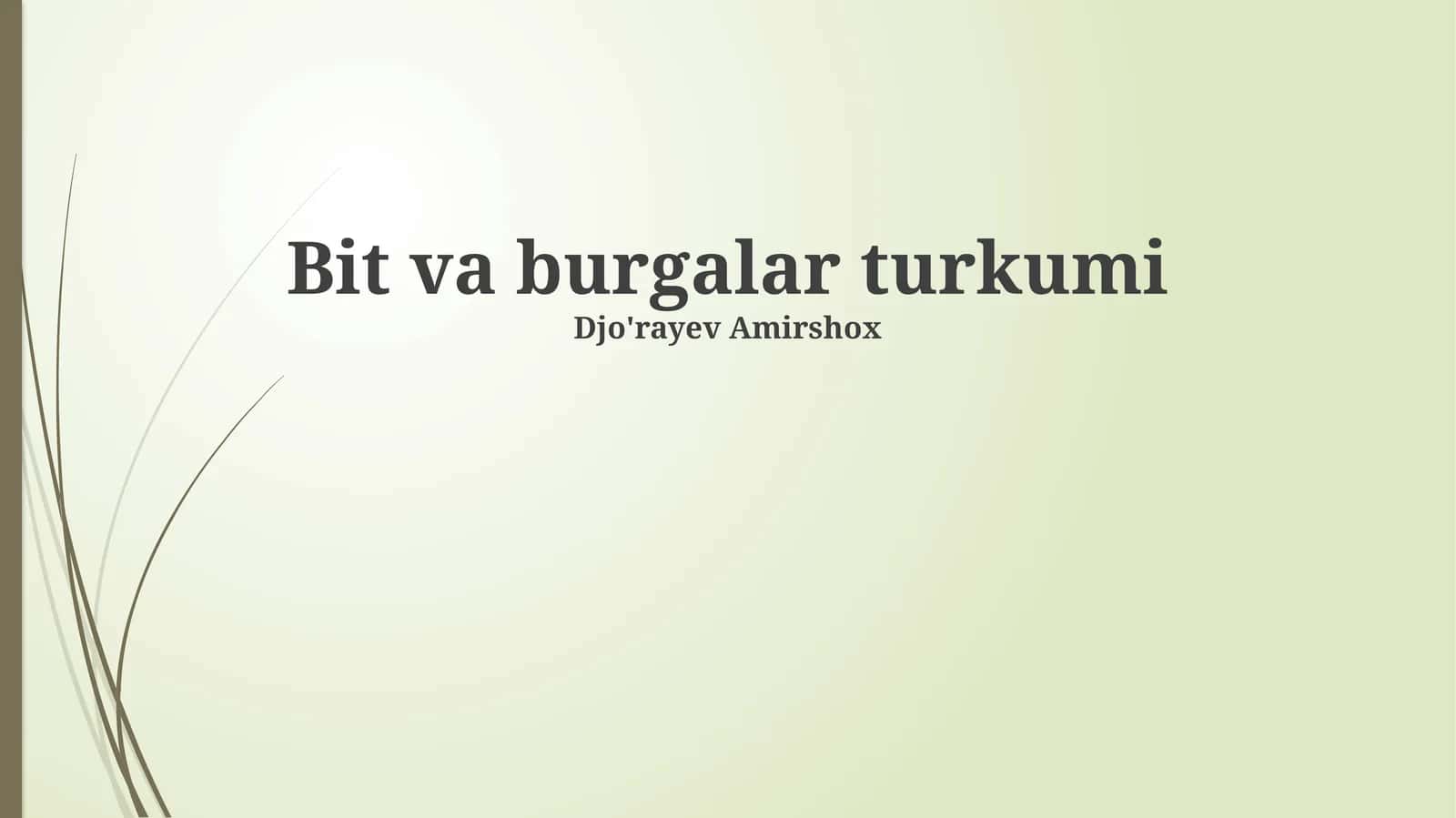 Bit va burgalar turkumi