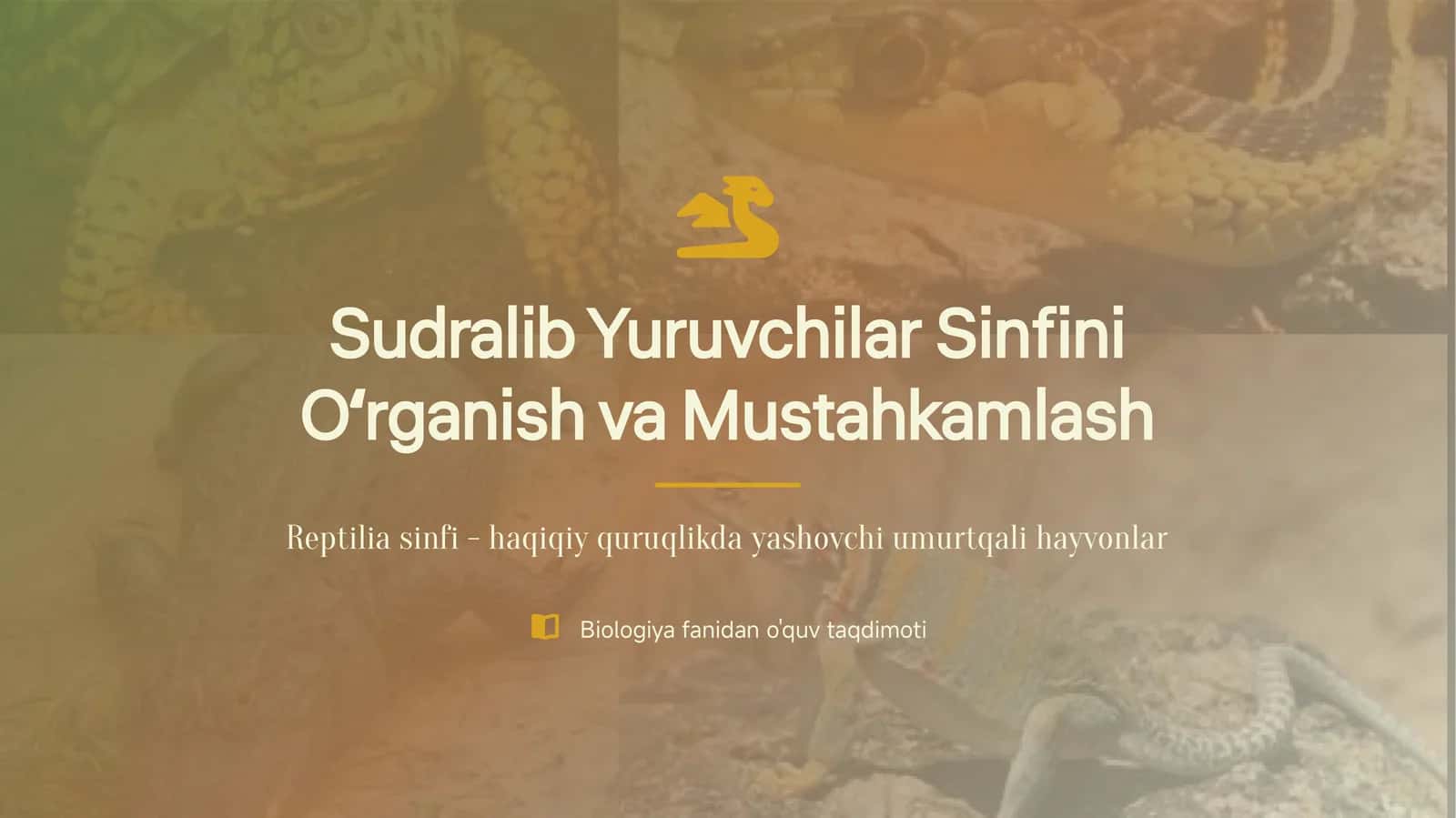 Sudralib Yuruvchilar Sinfini