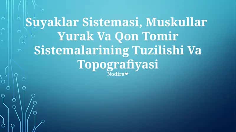 Suyaklar Sistemasi, Muskullar Yurak Va Qon Tomir Sistemalarining Tuzilishi Va Topografiyasi