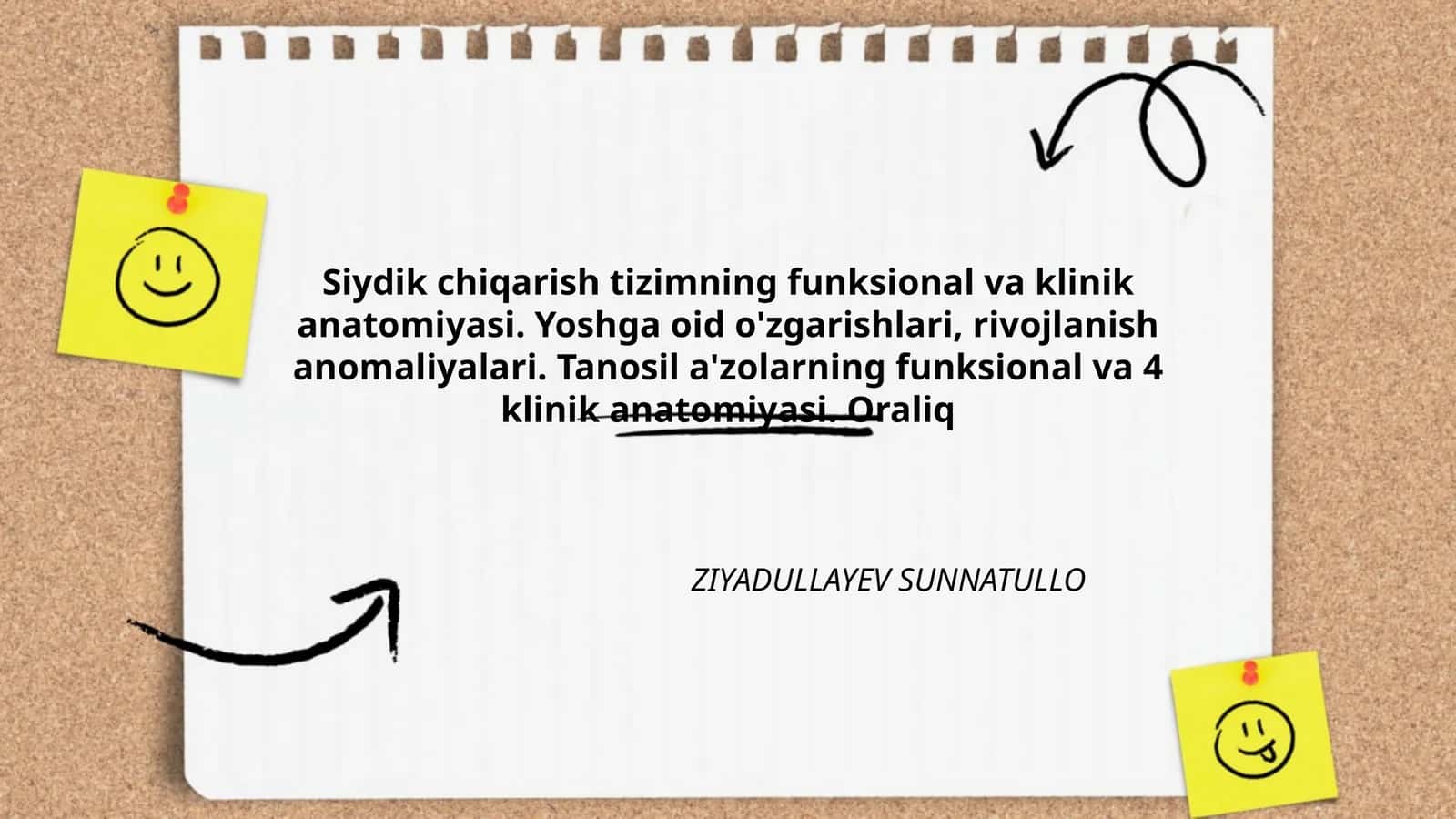 Siydik chiqarish tizimning funksional va klinik anatomiyasi