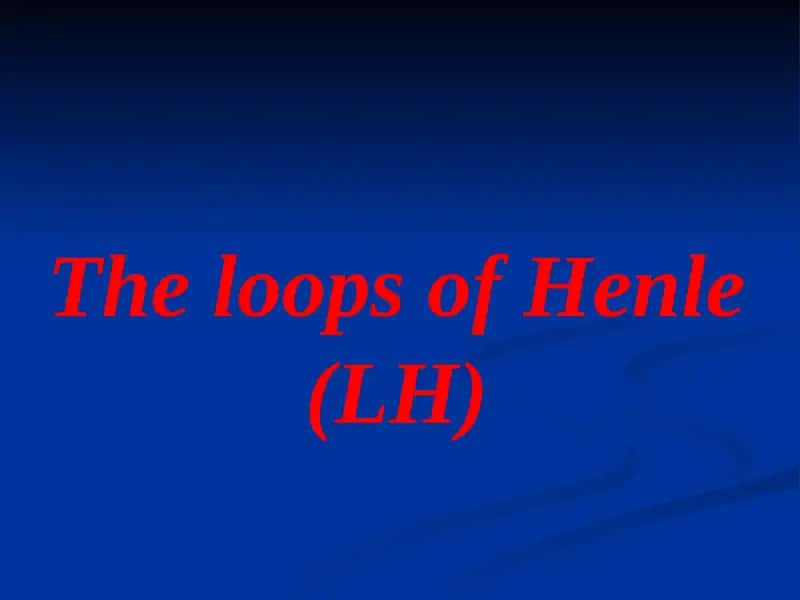 Loops of Henle (LH)