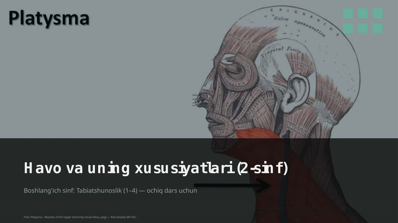 Havo va uning xususiyatlari (2-sinf)