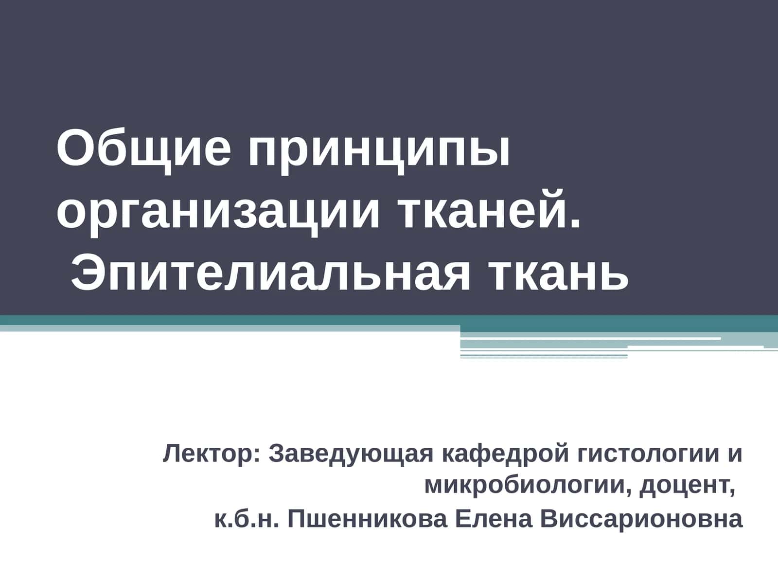 Общие принципы организации тканей.Эпителиальная ткань