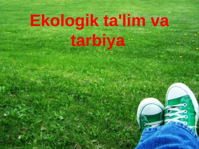 Ekologik ta'lim va tarbiya