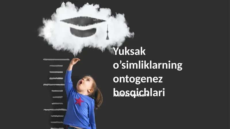 Yuksak o’simliklarning ontogenez bosqichlari