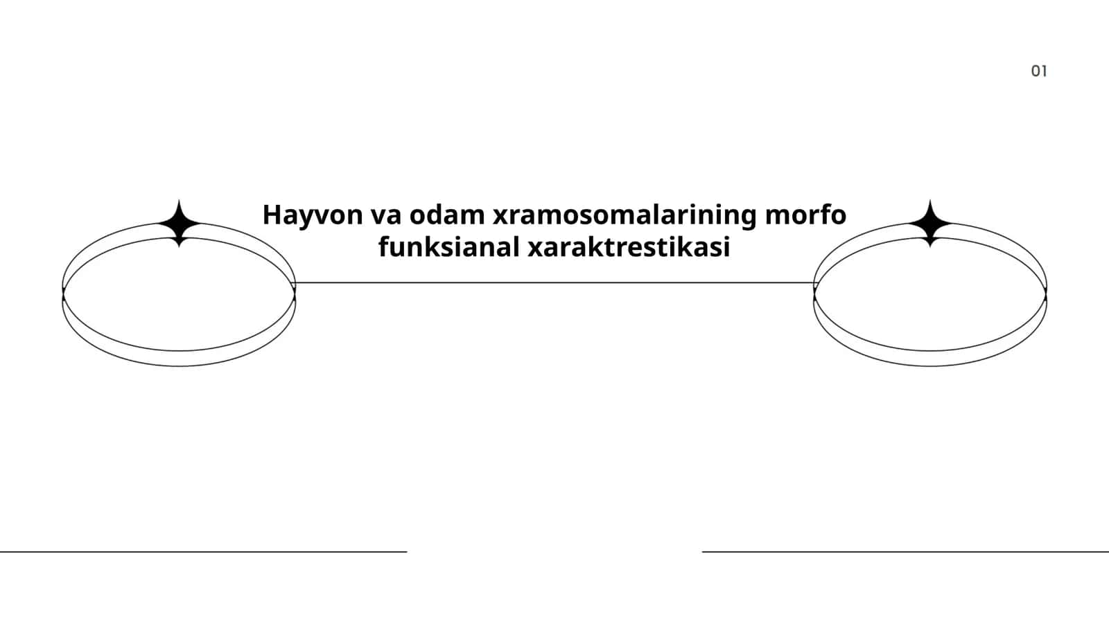 Xromosomalarning tuzilishi va morfologiyasi