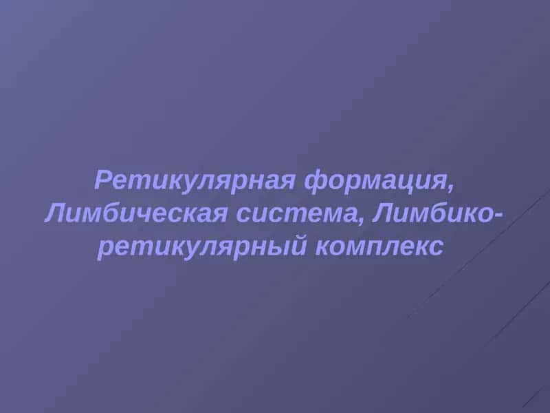 Ретикулярная формация