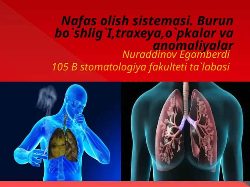 Nafas olish tizimasi