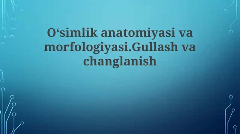 O'simlik anatomiyasi va morfologiyasi
