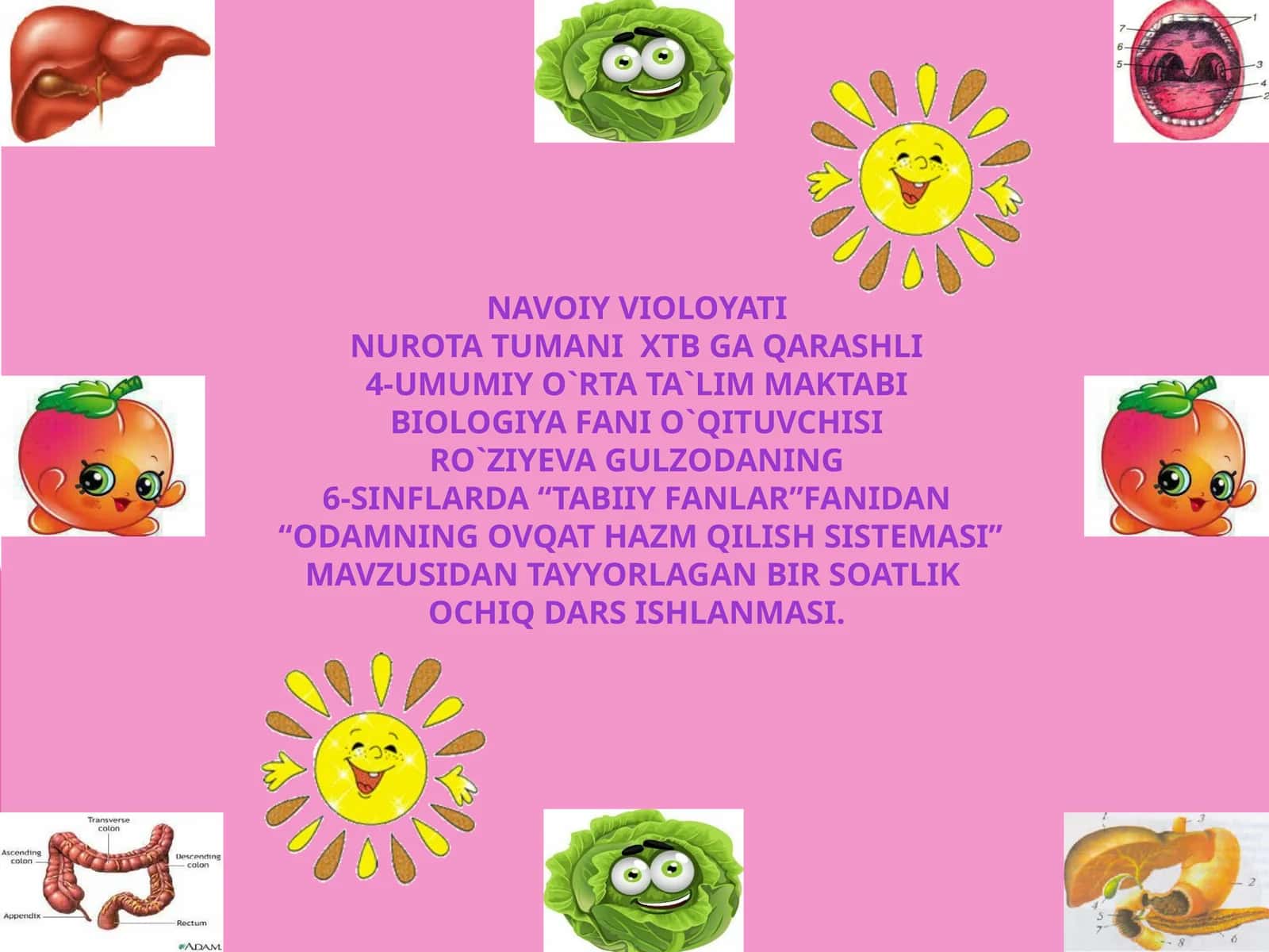 6-sinf Tabiiy fan Odamning ovqat hazm qilish sistemasi mavzuda ochiq dars ishlanma