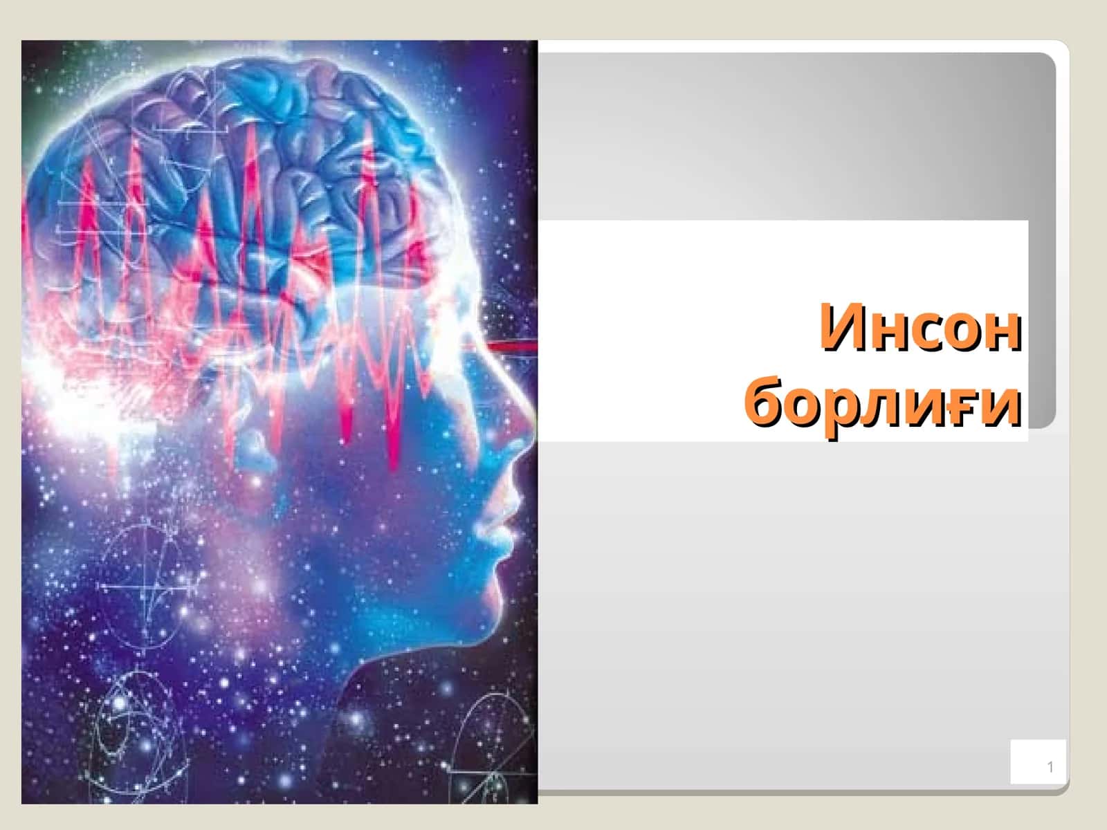 Инсон борлиғи