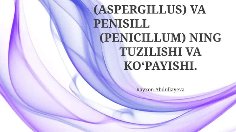 Aspergillus va Penicill (Penicillium) ning tuzilishi va ko‘payishi