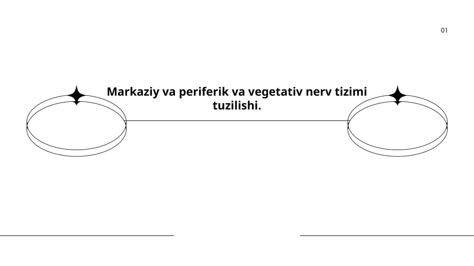 Markaziy va periferik va vegetativ nerv tizimi tuzilishi