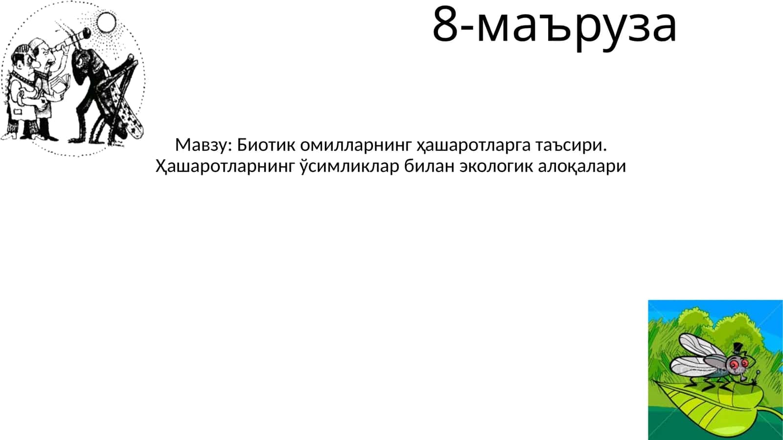 Биотик омилларнинг ҳашаротларга таъсири