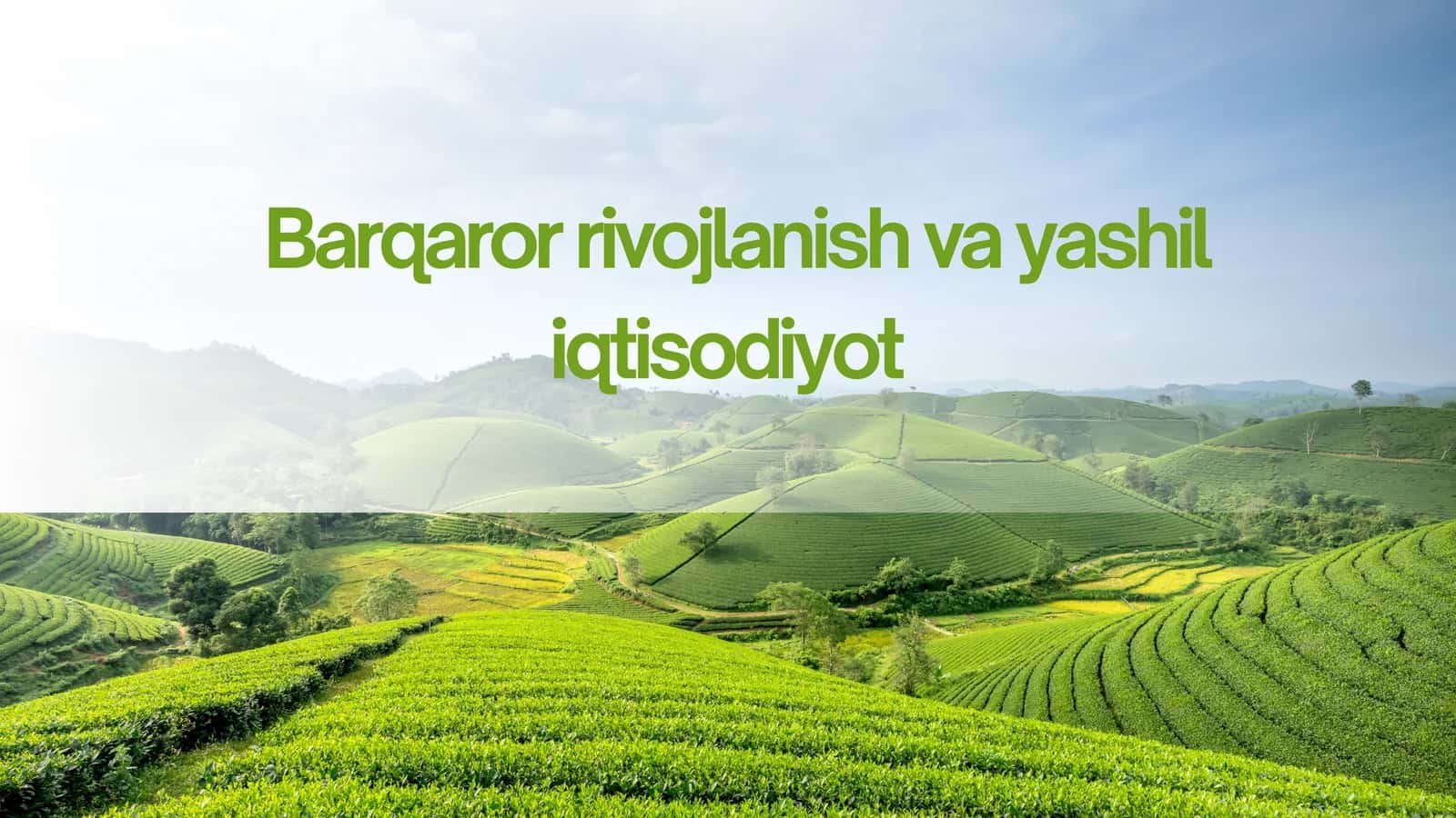 Yashil iqtisodiyotga o‘tish strategiyasi