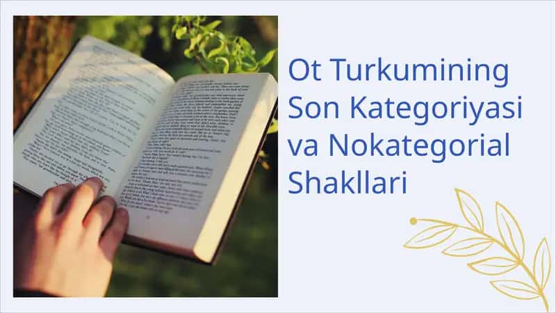 Ot Turkumining Son Kategoriyasi va Nokategorial Shakllari