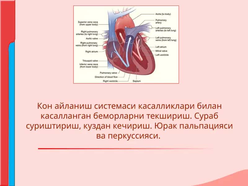 QON AYLANISH SISTEMASI KASALLIKLARI