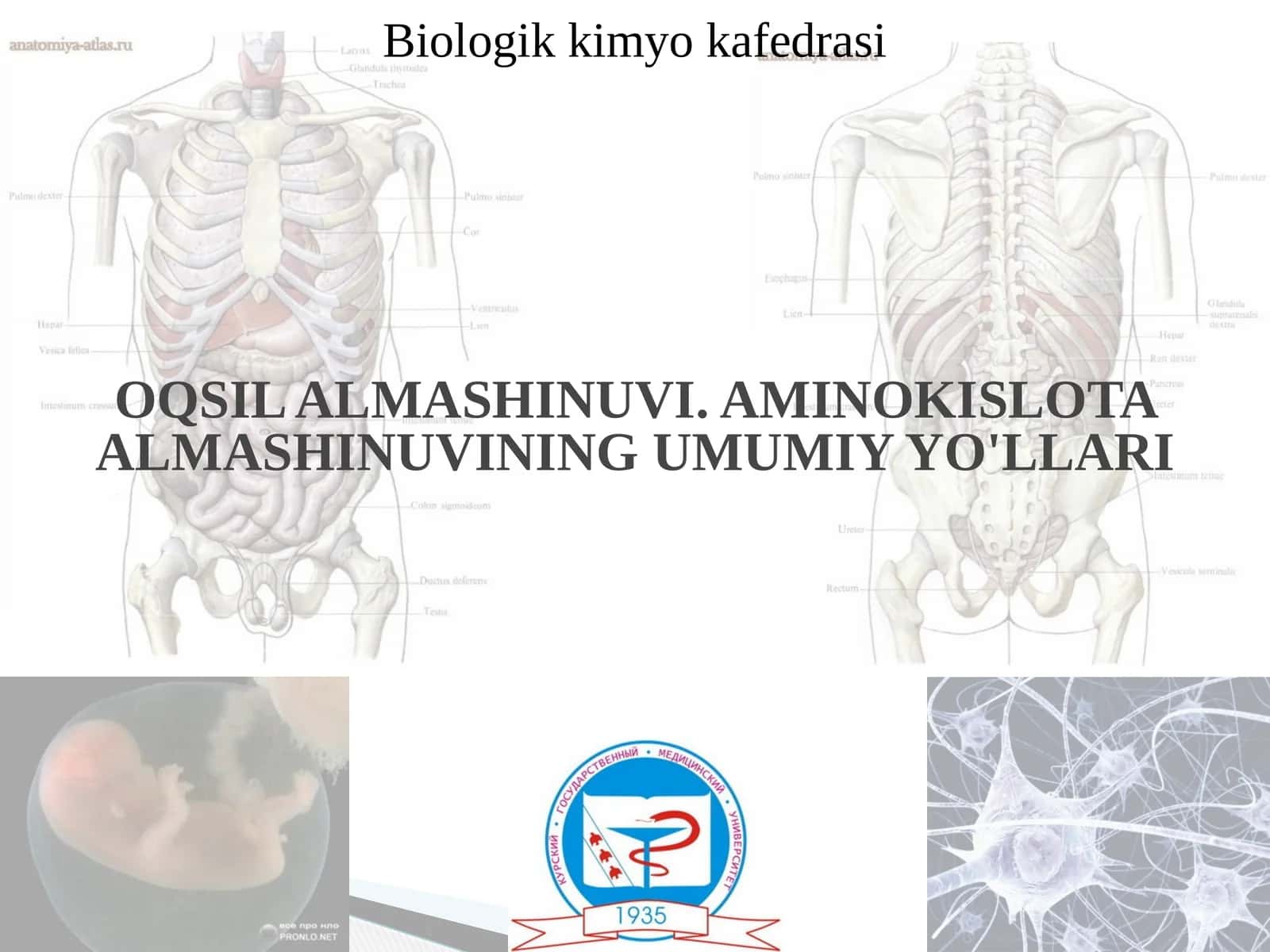 OQSIL ALMASHINUVI. AMINOKISLOTA ALMASHINUVINING UMUMIY YO'LLARI