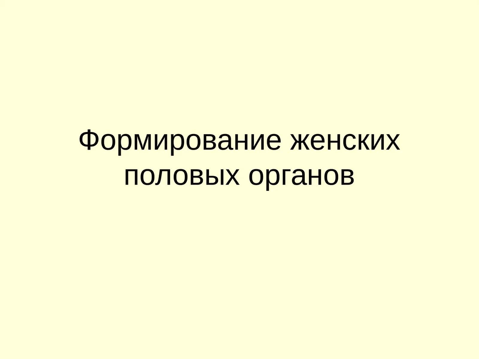Формирование женских половых органов