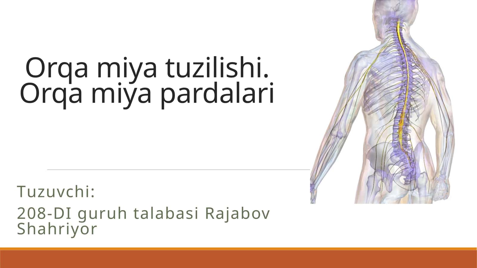 Orqamiyatuzilishi.Orqamiyapardalari