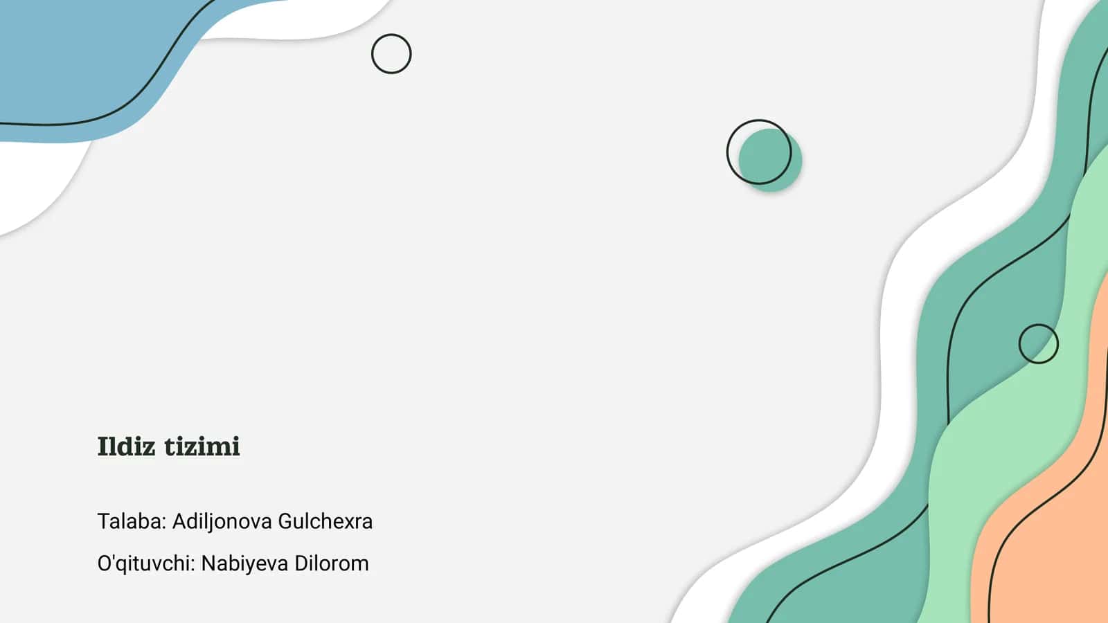 Ildiz tizimi
