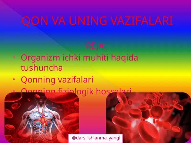 Qon va uning vazifalari