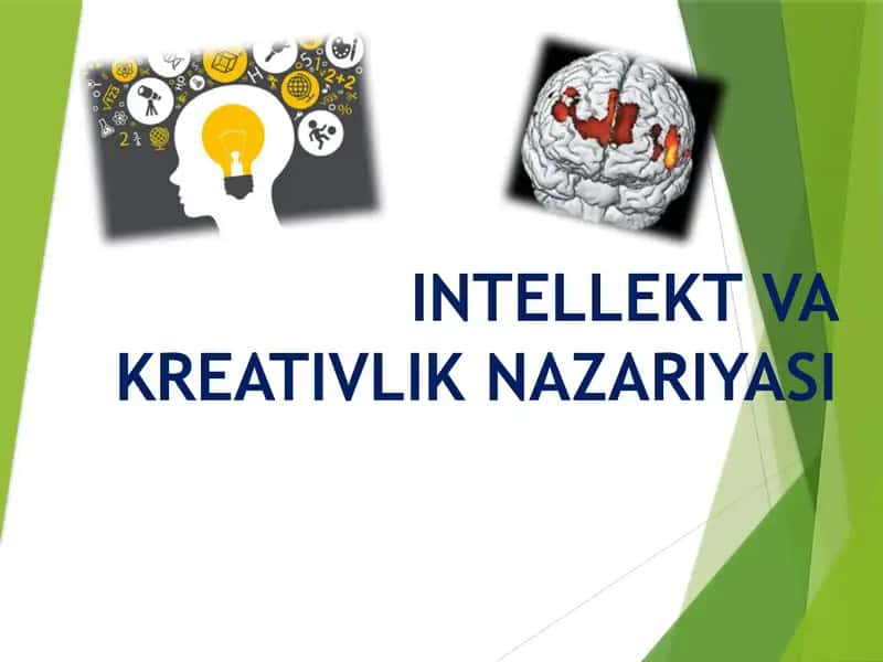 INTELLEKT VA KREATIVLIK NAZARIYASI