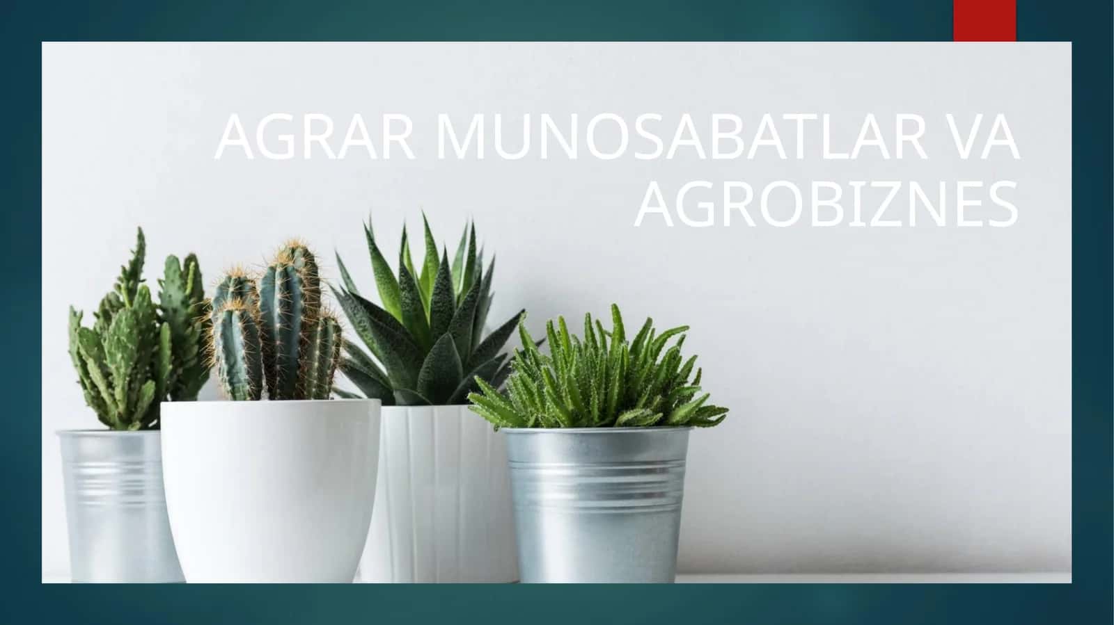AGRAR MUNOSABATLAR VA AGROBIZNES
