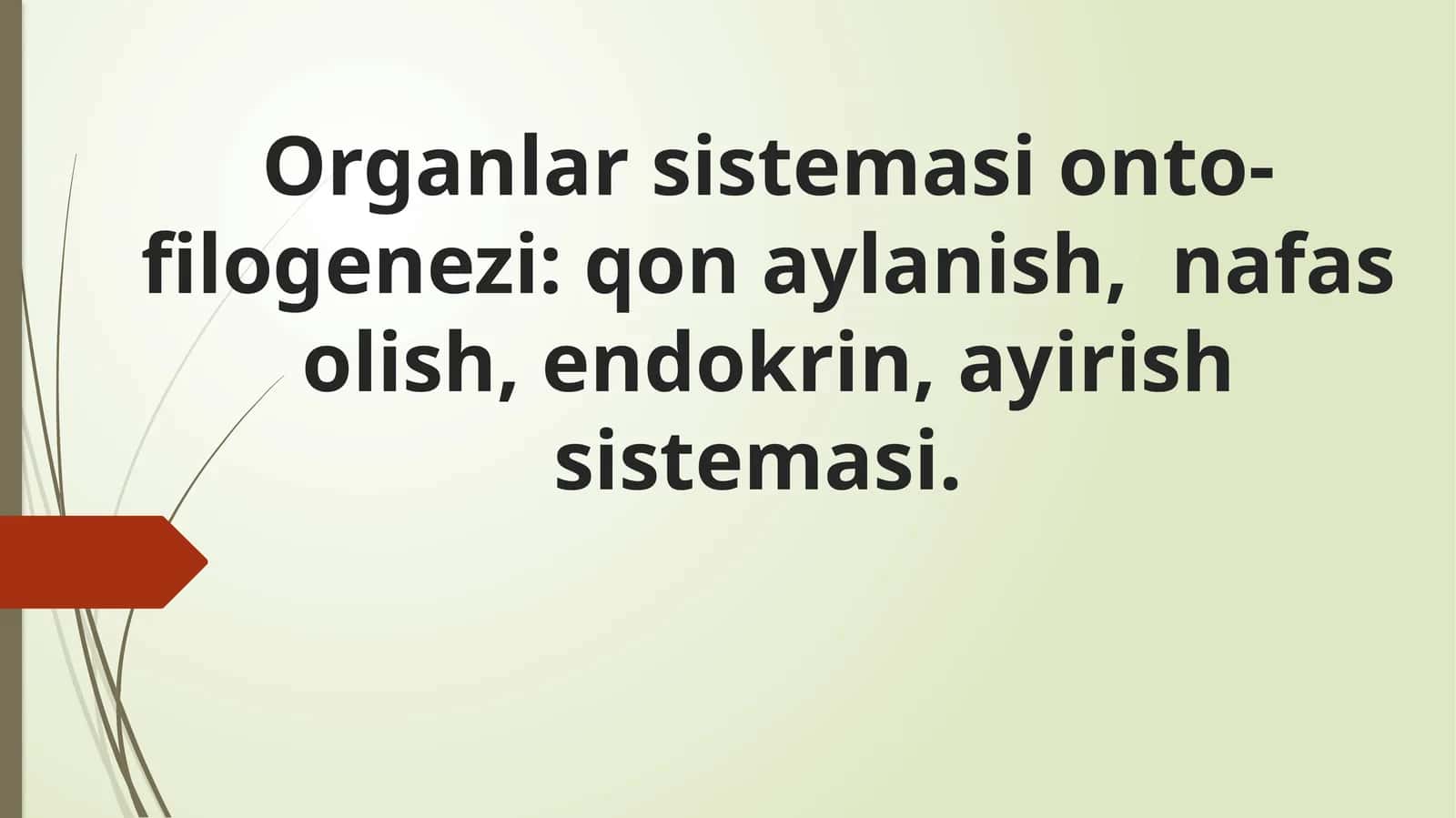 Organlar sistemasi onto-filogenezi: qon aylanish, nafas olish, endokrin, ayirish sistemasi