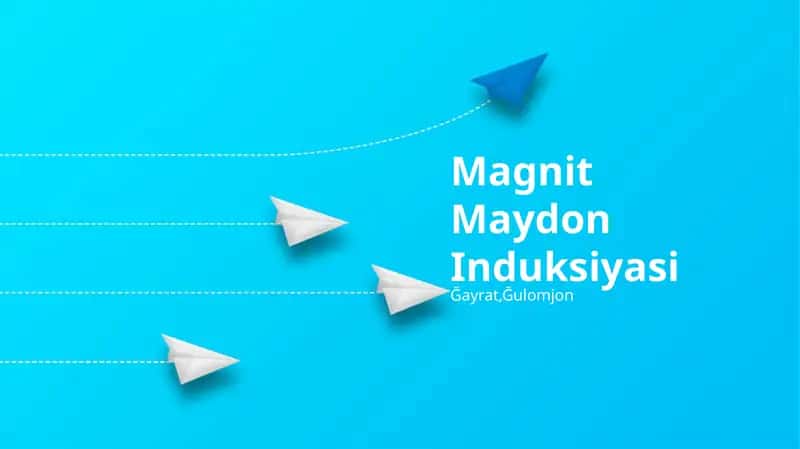 Magnit Maydon Induksiyasi