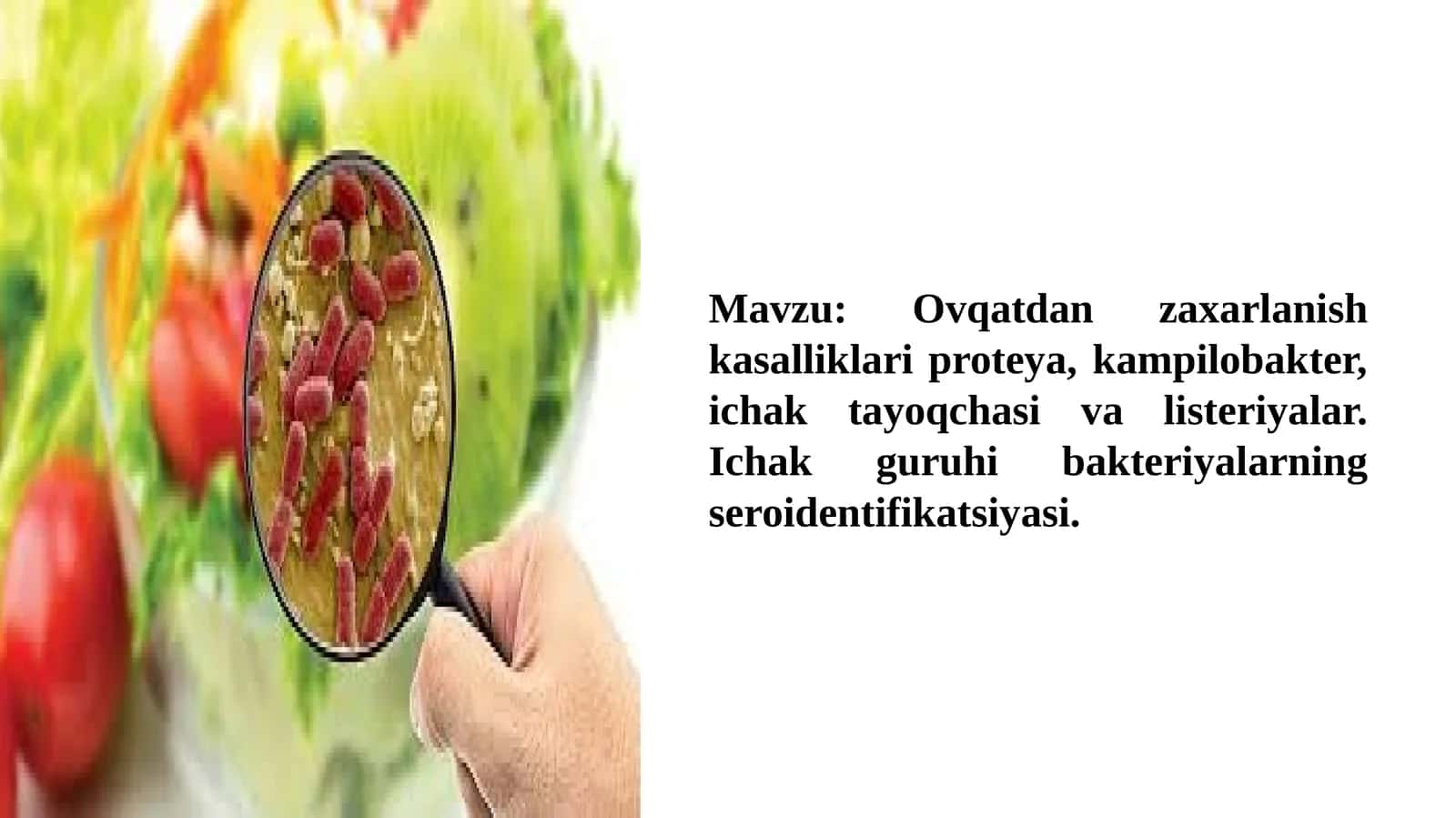 Ichak guruhi bakteriyalarining seroidentifikatsiyasi