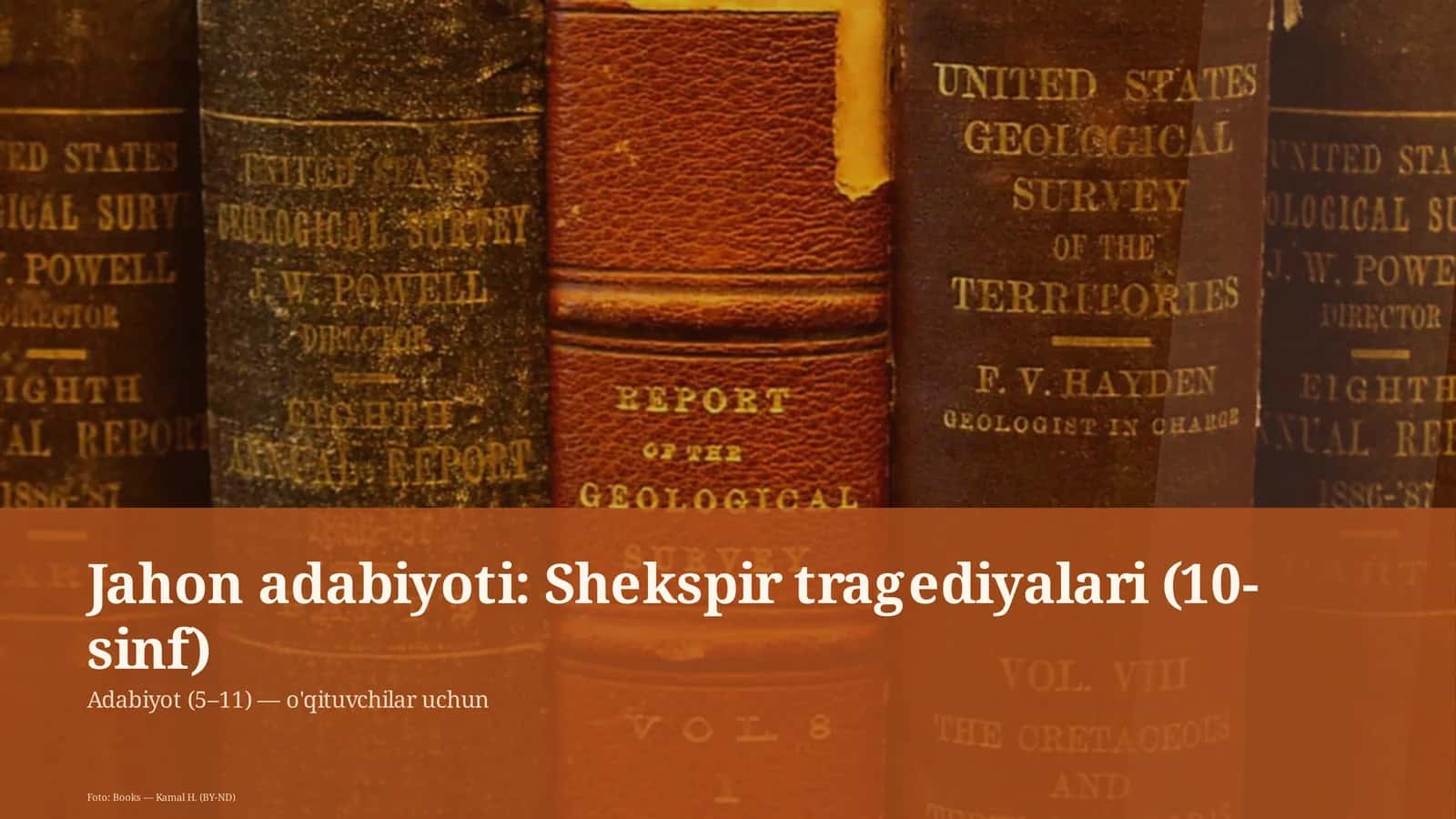 Shekspir tragediyalari (10-sinf)