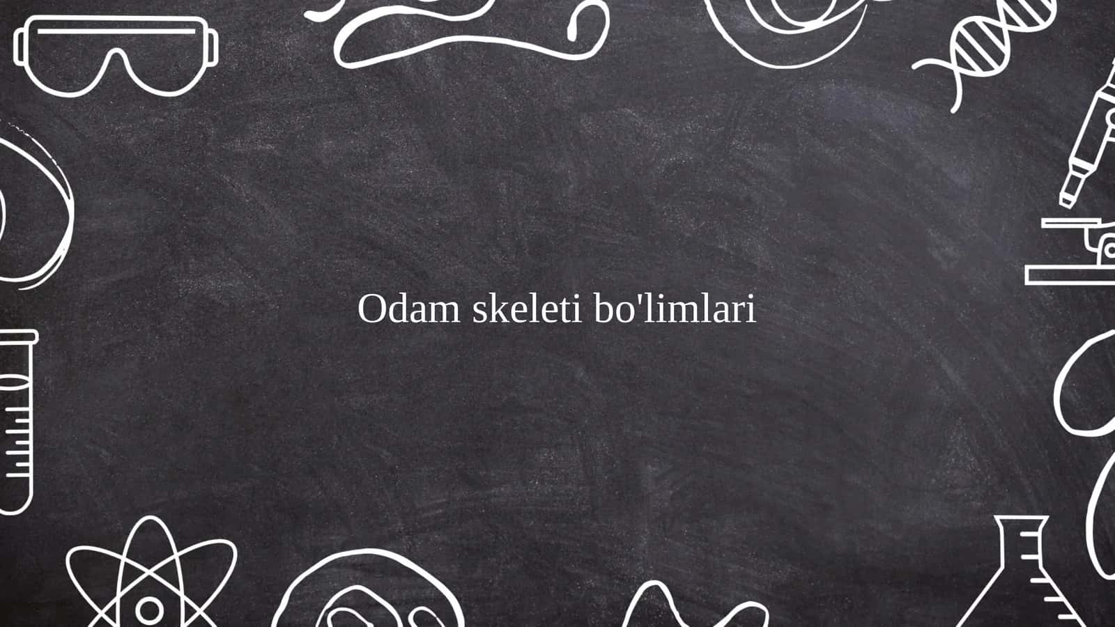 Odam skeleti va uning funksiyalari