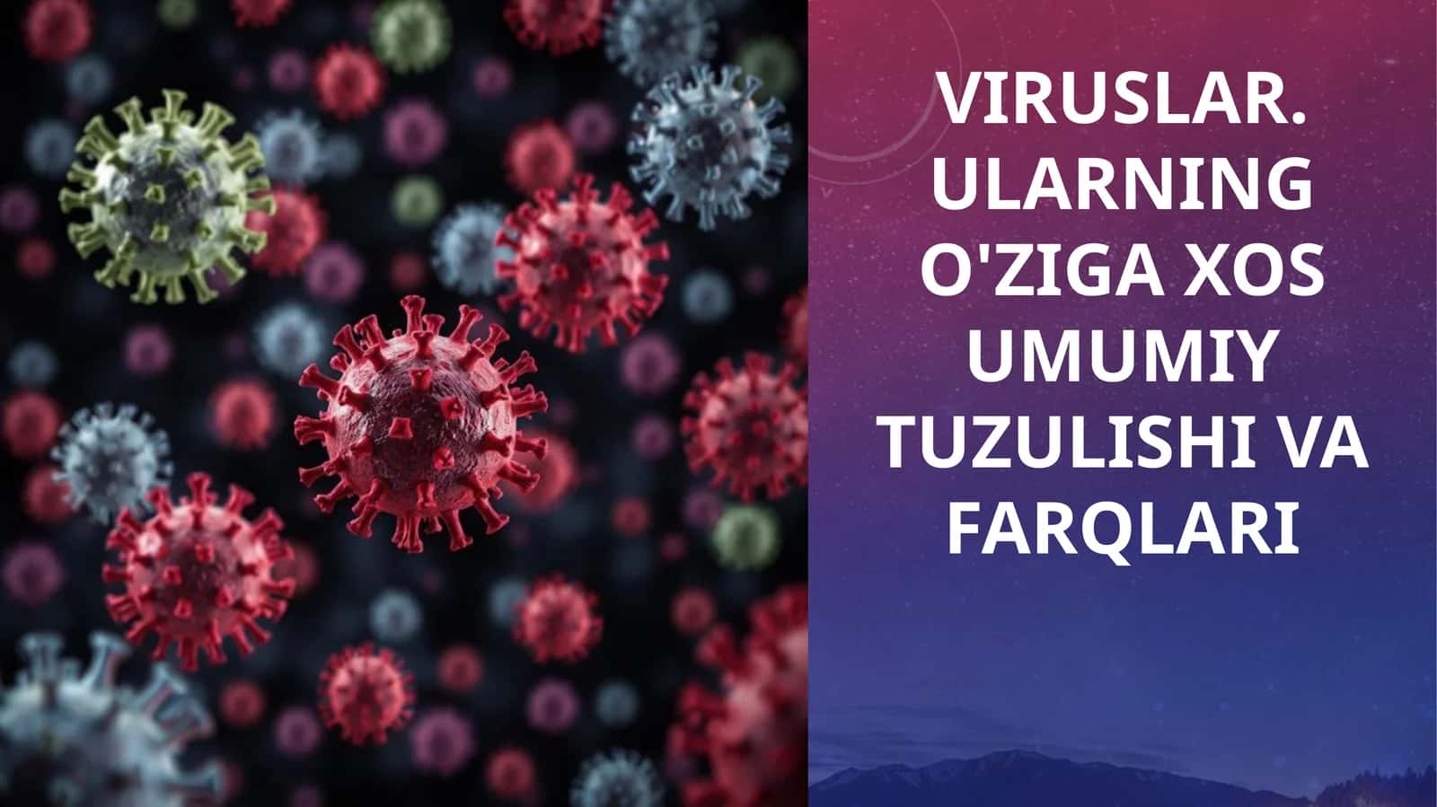 Viruslar. Ularning o'ziga xos umumiy tuzilishi va farqlari