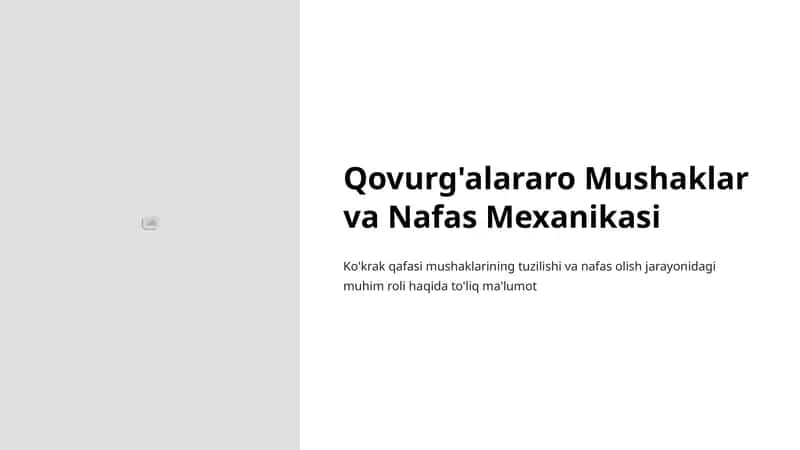 Qovurg'alararo Mushaklar va Nafas Mexanikasi