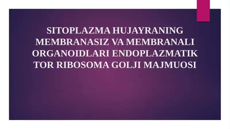 SITOPLAZMA HUJAYRANING MEMBRANASIZ VA MEMBRANALI ORGANOIDLARI ENDOPLAZMATIK TOR RIBOSOMA GOLJI MAJMUOSI