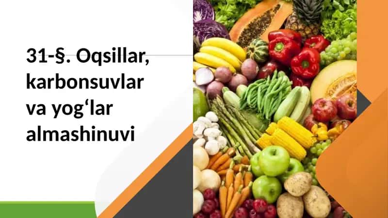 Oqsillar almashinuvi
