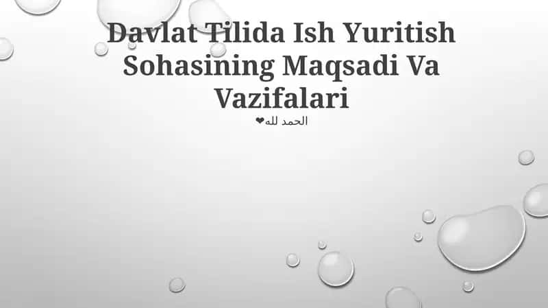 Davlat Tilida Ish Yuritish Sohasi