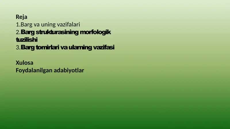 Prezentaciya (taqdimot)
