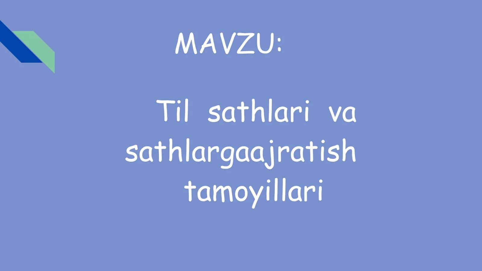 Til sathlari va sathlarga ajratish tamoyillari